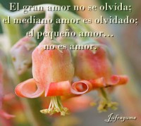 /album/fotogaleria/el-gran-amor-jpg/